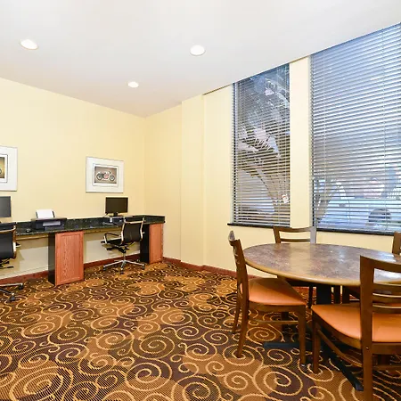 Rushhh Daytona Beach, Tapestry Collection By Hilton-3